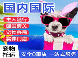 曹家堡机场物流国际宠物托运 【国